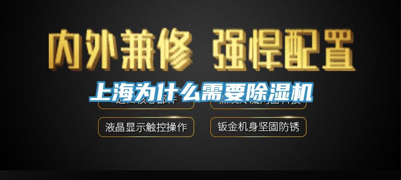 上海為什麽需要黄瓜视频在线播放