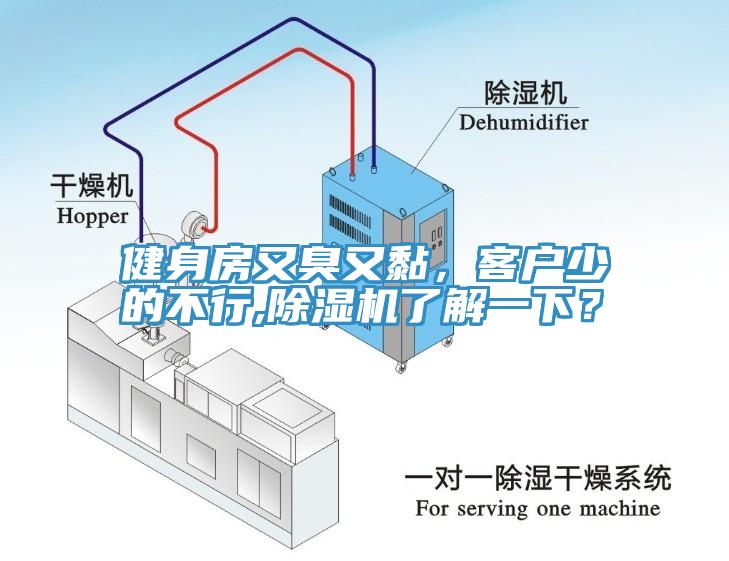 健身房又臭又黏，客戶少的不行,黄瓜视频在线播放了解一下？