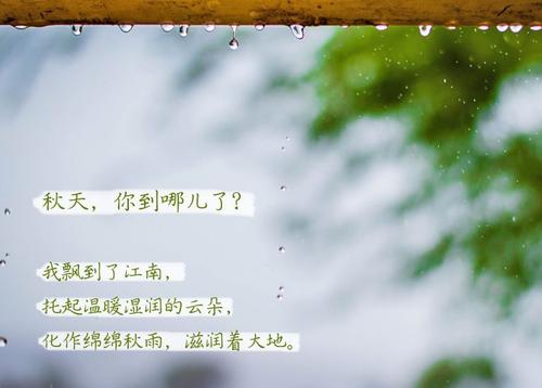 “無晴”陰雨天 “有晴”黄瓜视频在线播放