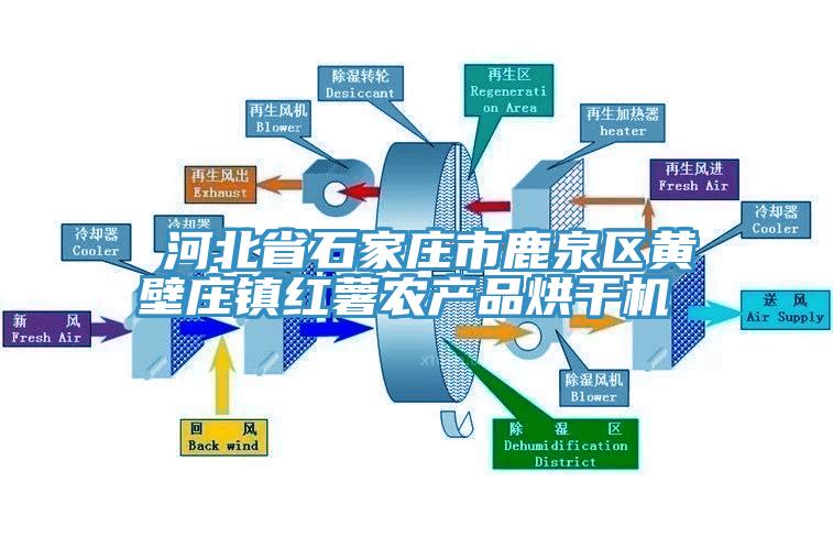 ​河北省石家莊市鹿泉區黃壁莊鎮紅薯農產品烘幹機