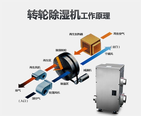 工業黄瓜视频在线播放在回南天雨季的作用