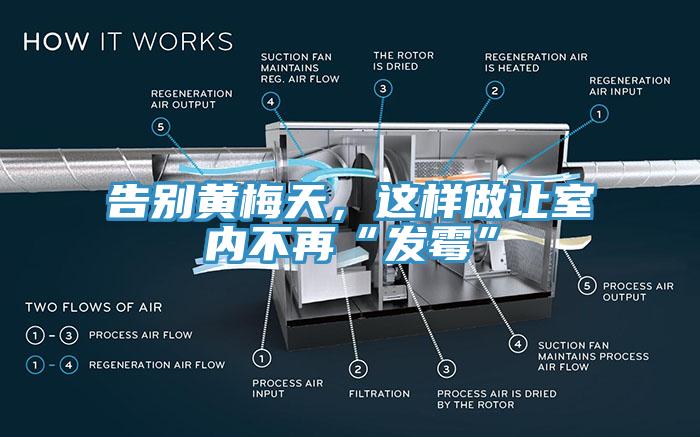 告別黃梅天，這樣做讓室內不再“發黴”