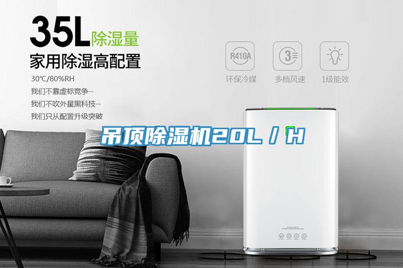 吊頂黄瓜视频在线播放20L／H