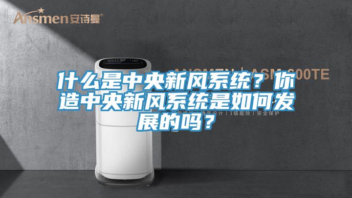 什麽是中央新風係統？你造中央新風係統是如何發展的嗎？