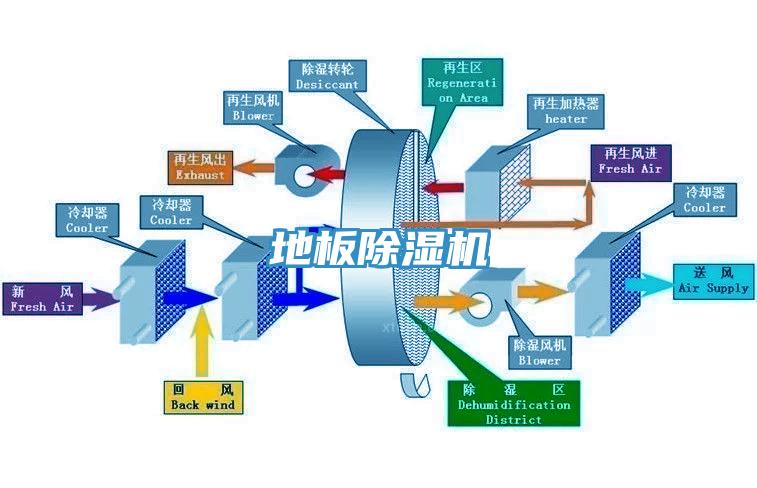 地板黄瓜视频在线播放