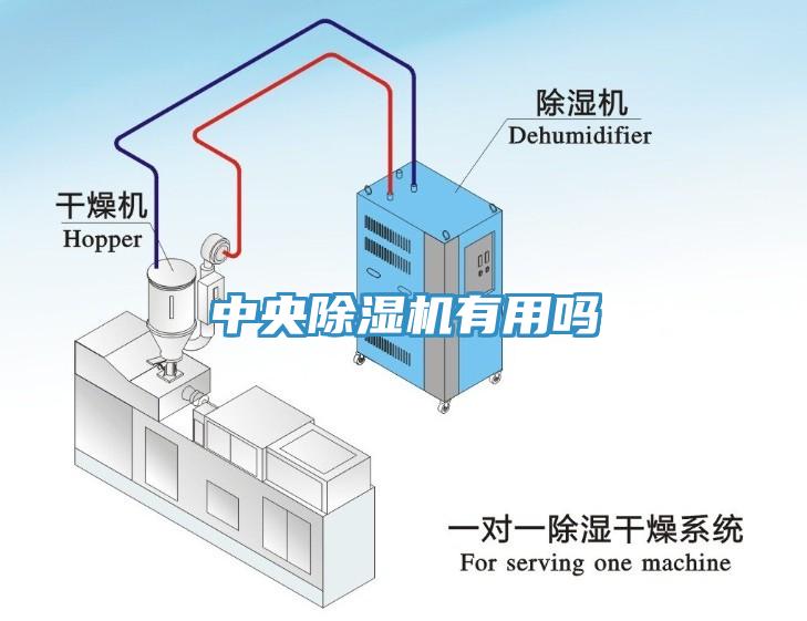 中央黄瓜视频在线播放有用嗎