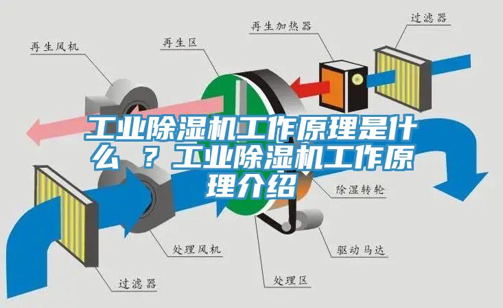 工業黄瓜视频在线播放工作原理是什麽 ？工業黄瓜视频在线播放工作原理介紹