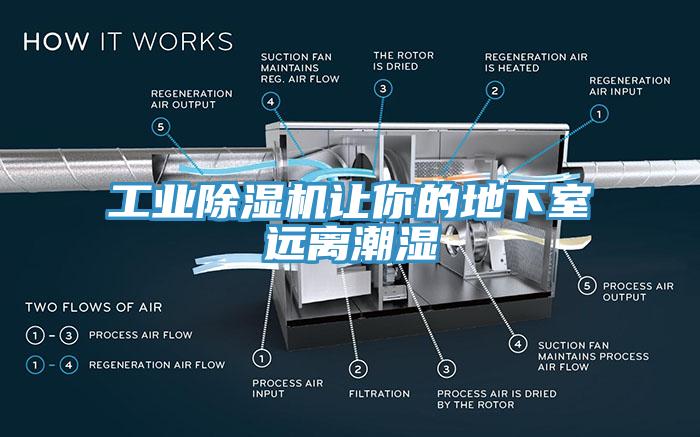 工業黄瓜视频在线播放讓你的地下室遠離潮濕