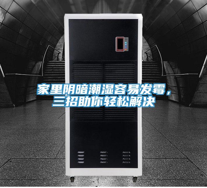 家裏陰暗潮濕容易發黴，三招助你輕鬆解決