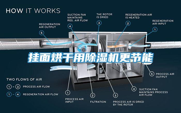 掛麵烘幹用黄瓜视频在线播放更節能