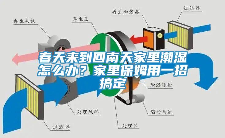 春天來到回南天家裏潮濕怎麽辦？家裏保姆用一招搞定