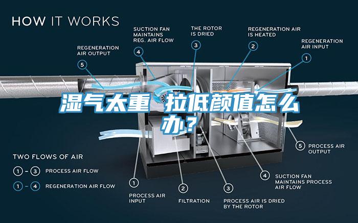 濕氣太重 拉低顏值怎麽辦？