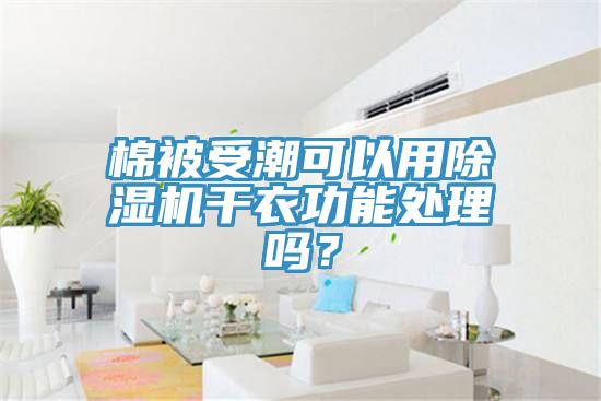 棉被受潮可以用黄瓜视频在线播放幹衣功能處理嗎？