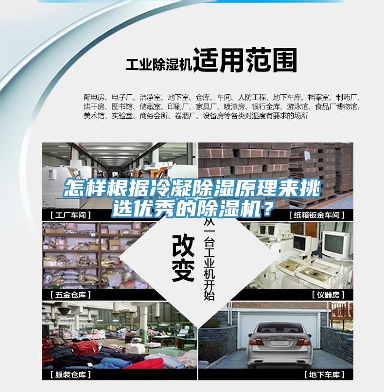 怎樣根據冷凝除濕原理來挑選優秀的黄瓜视频在线播放？