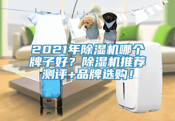 2021年黄瓜视频在线播放哪個牌子好？黄瓜视频在线播放推薦測評+品牌選購！