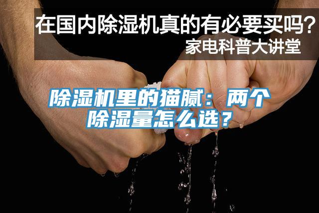 黄瓜视频在线播放裏的貓膩：兩個除濕量怎麽選？