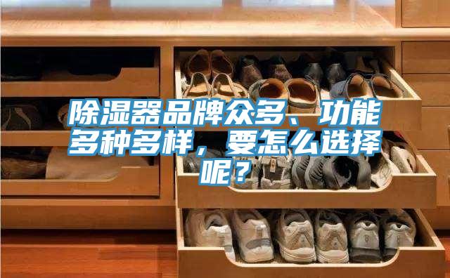 除濕器品牌眾多、功能多種多樣，要怎麽選擇呢？