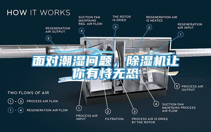 麵對潮濕問題，黄瓜视频在线播放讓你有恃無恐