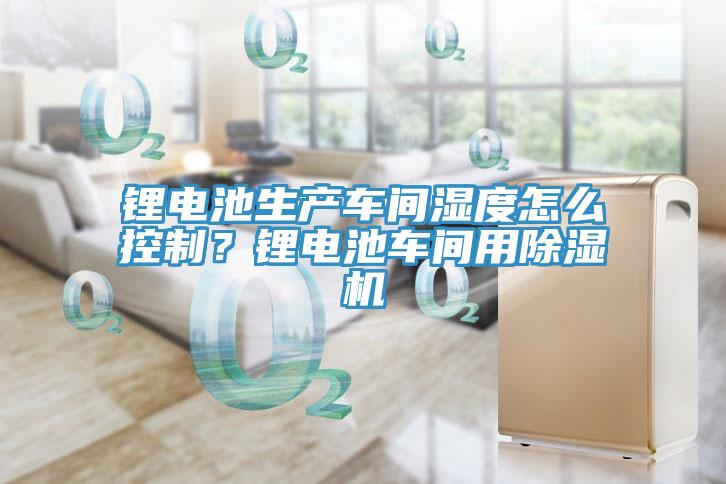 鋰電池生產車間濕度怎麽控製？鋰電池車間用黄瓜视频在线播放