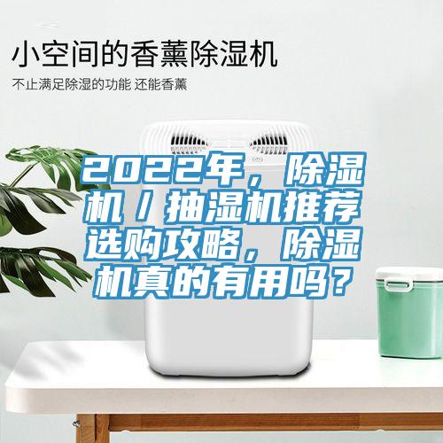 2022年，黄瓜视频在线播放／抽濕機推薦選購攻略，黄瓜视频在线播放真的有用嗎？