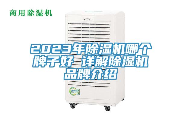 2023年黄瓜视频在线播放哪個牌子好 詳解黄瓜视频在线播放品牌介紹