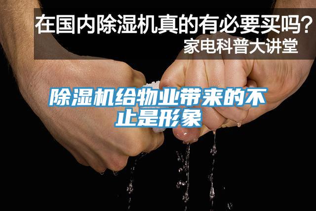 黄瓜视频在线播放給物業帶來的不止是形象