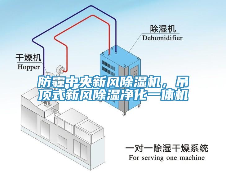 防霾中央新風黄瓜视频在线播放，吊頂式新風除濕淨化一體機