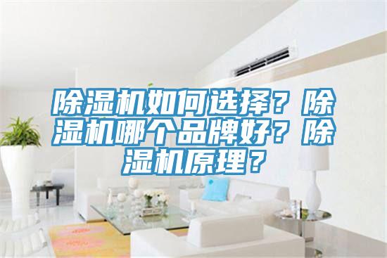 黄瓜视频在线播放如何選擇？黄瓜视频在线播放哪個品牌好？黄瓜视频在线播放原理？