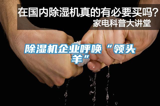 黄瓜视频在线播放企業呼喚“領頭羊”