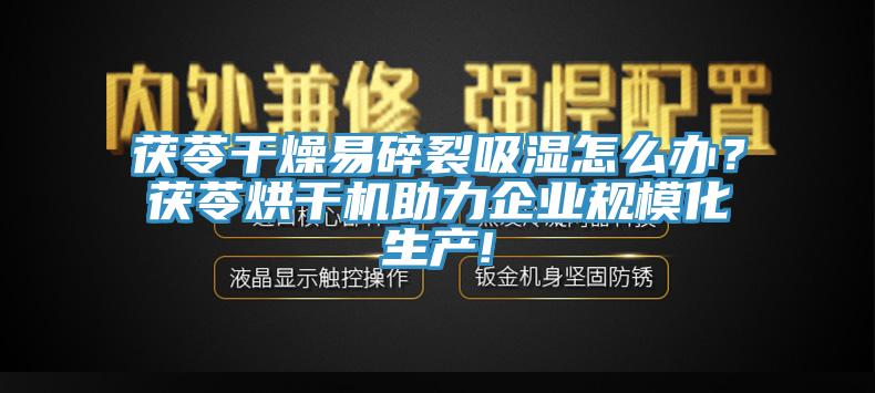 茯苓幹燥易碎裂吸濕怎麽辦？茯苓烘幹機助力企業規模化生產!