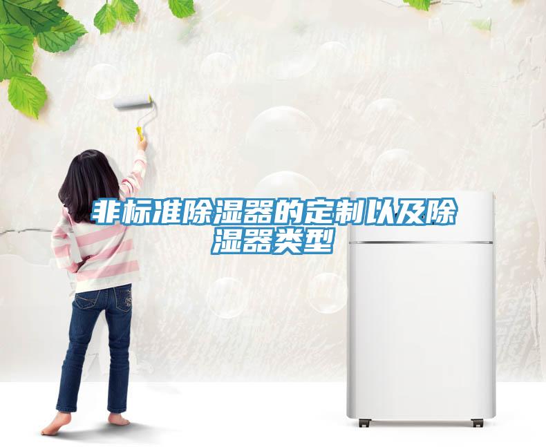 非標準除濕器的定製以及除濕器類型