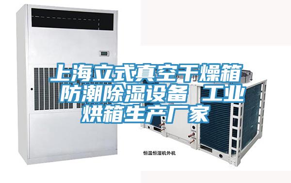 上海立式真空幹燥箱 防潮除濕設備 工業烘箱生產廠家