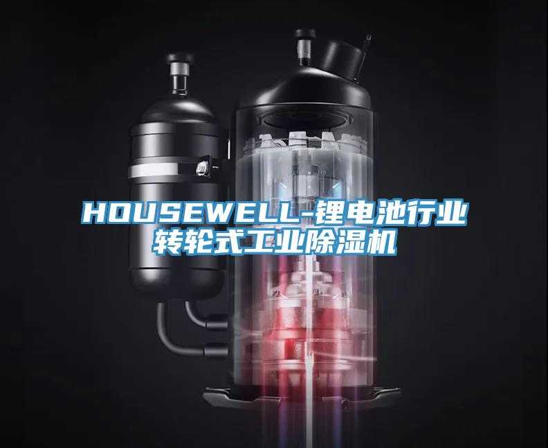 HOUSEWELL-鋰電池行業轉輪式工業黄瓜视频在线播放