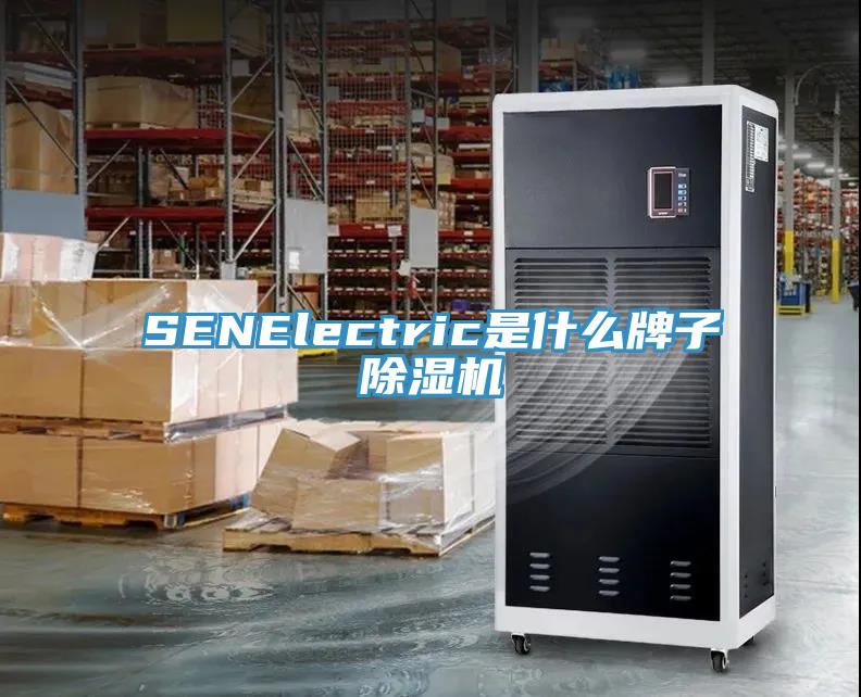 SENElectric是什麽牌子黄瓜视频在线播放