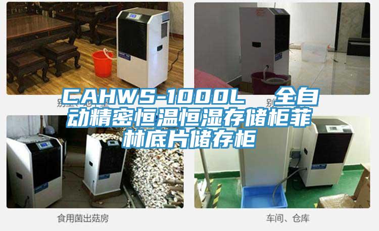 CAHWS-1000L  全自動精密恒溫恒濕存儲櫃菲林底片儲存櫃