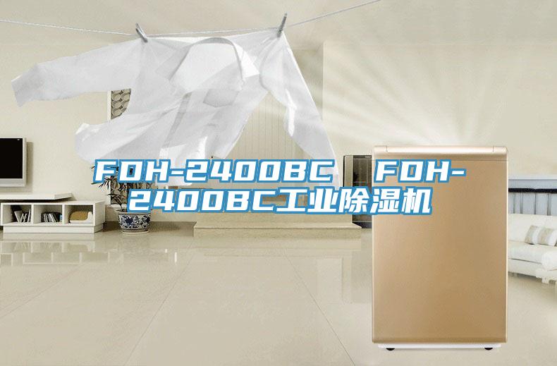 FDH-2400BC  FDH-2400BC工業黄瓜视频在线播放