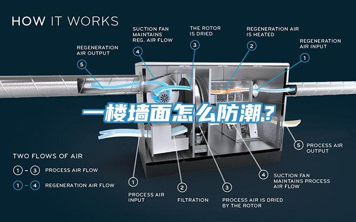 一樓牆麵怎麽防潮？