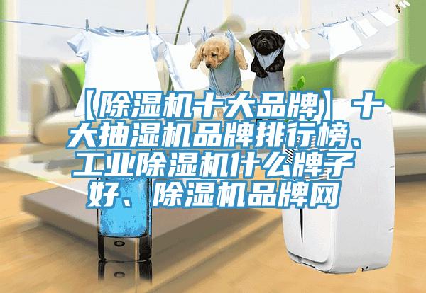 【黄瓜视频在线播放十大品牌】十大抽濕機品牌排行榜、工業黄瓜视频在线播放什麽牌子好、黄瓜视频在线播放品牌網