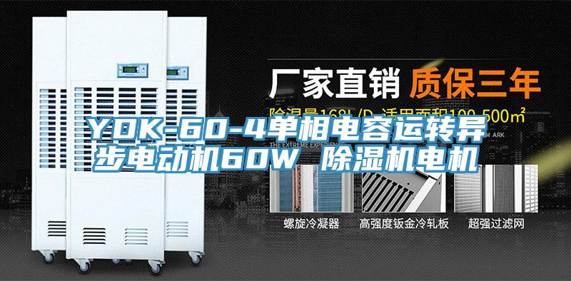 YDK-60-4單相電容運轉異步電動機60W 黄瓜视频在线播放電機