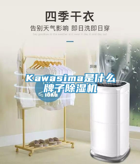 Kawasima是什麽牌子黄瓜视频在线播放