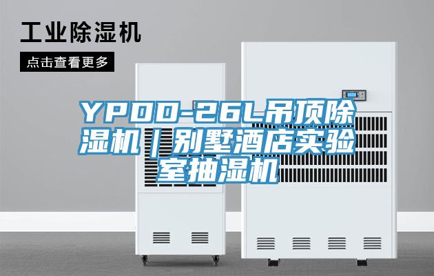 YPDD-26L吊頂黄瓜视频在线播放｜別墅酒店實驗室抽濕機