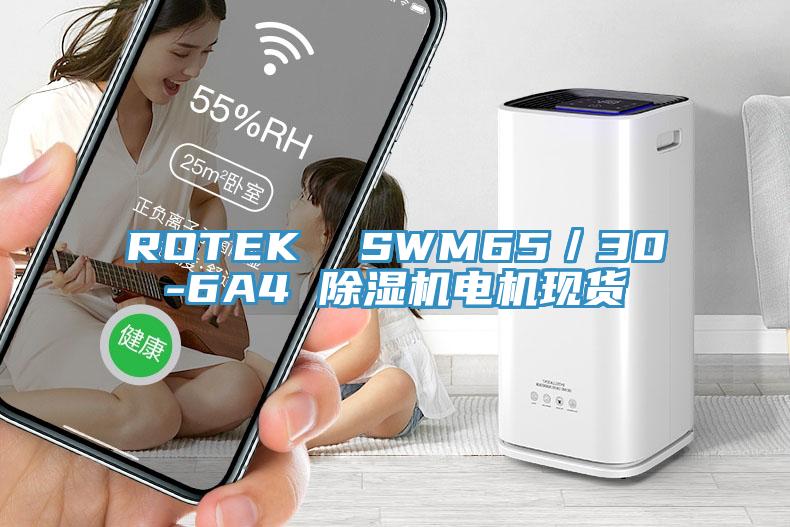 ROTEK  SWM65／30-6A4 黄瓜视频在线播放電機現貨