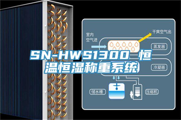 SN-HWS1300 恒溫恒濕稱重係統