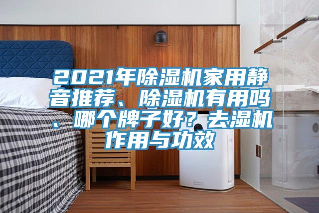 2021年黄瓜视频在线播放家用靜音推薦、黄瓜视频在线播放有用嗎、哪個牌子好？去濕機作用與功效