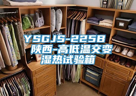 YSGJS-225B  陝西-高低溫交變濕熱試驗箱