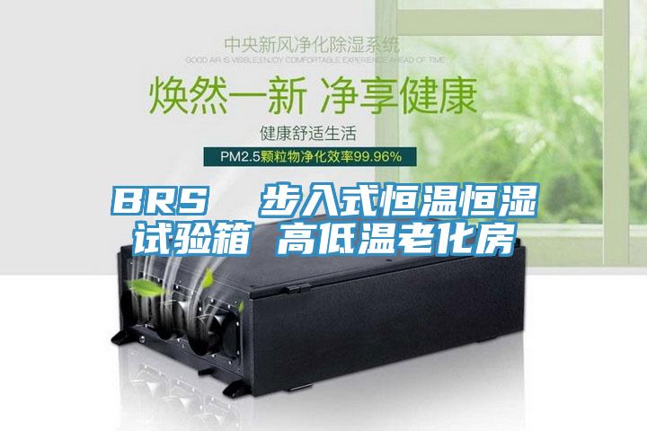 BRS  步入式恒溫恒濕試驗箱 高低溫老化房