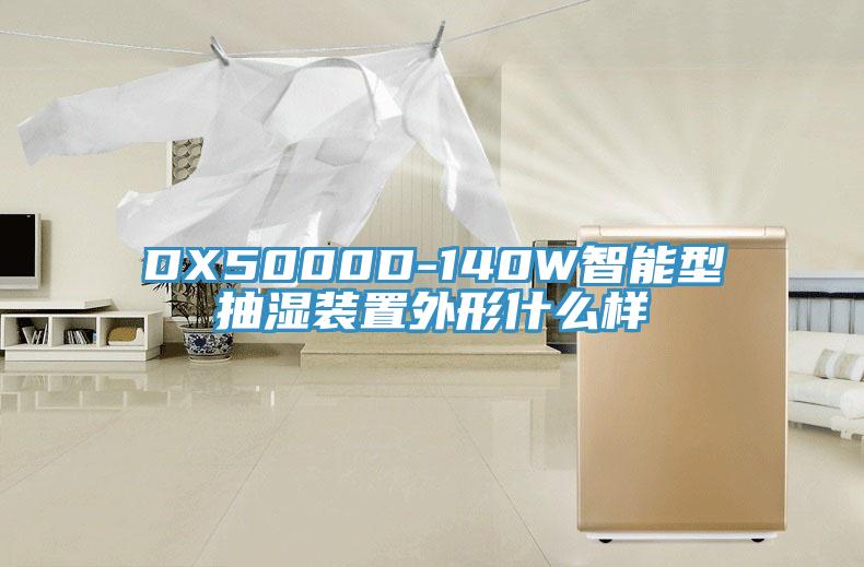 DX5000D-140W智能型抽濕裝置外形什麽樣