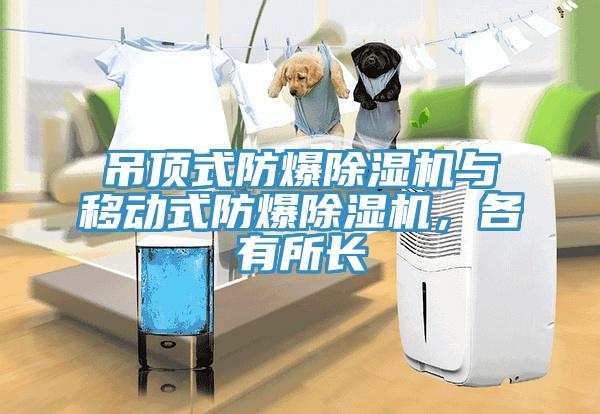 吊頂式防爆黄瓜视频在线播放與移動式防爆黄瓜视频在线播放，各有所長