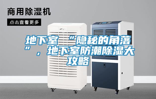 地下室≠“隱秘的角落”，地下室防潮除濕大攻略