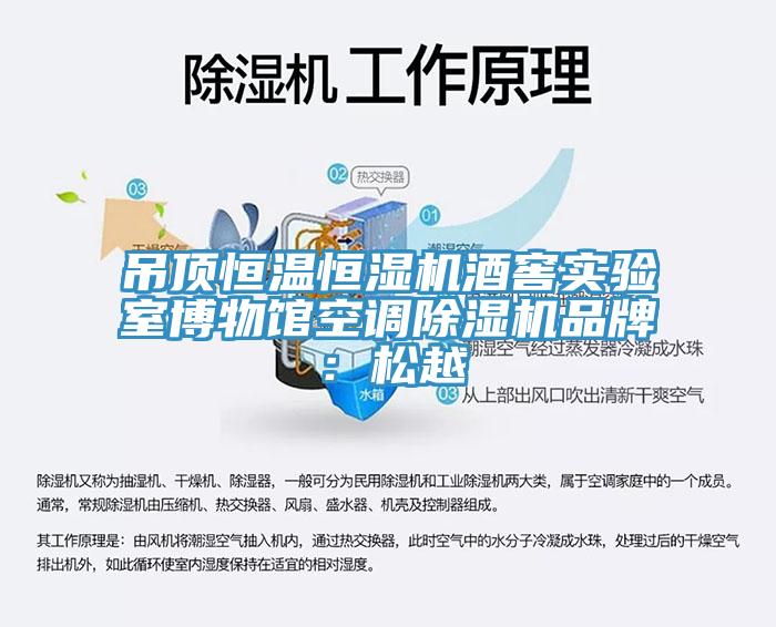 吊頂恒溫恒濕機酒窖實驗室博物館空調黄瓜视频在线播放品牌：鬆越